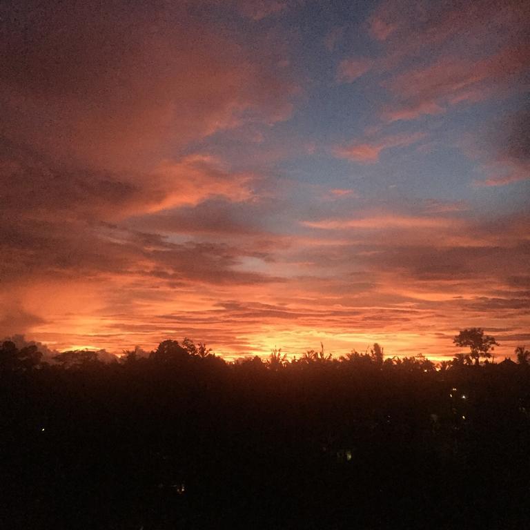 Ubud Wins Bungalow מראה חיצוני תמונה